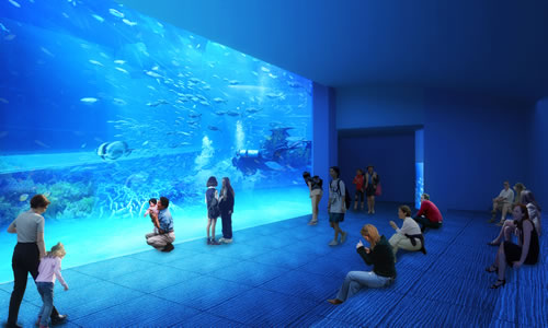 グランドオープン予定について