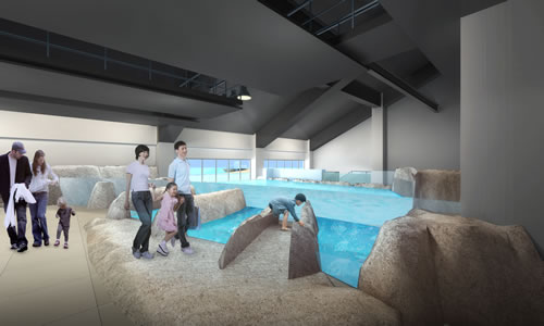 グランドオープン予定について