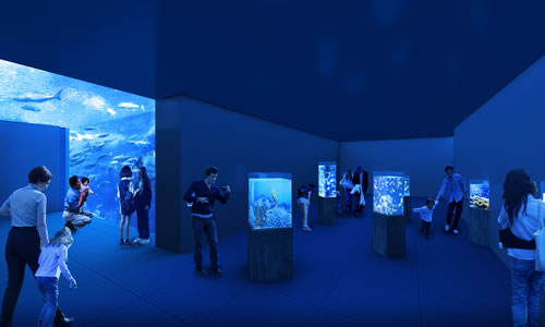 グランドオープン予定について